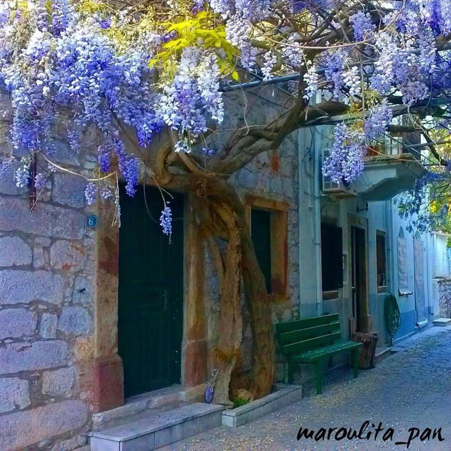 Apartment Chios Mantalenas *